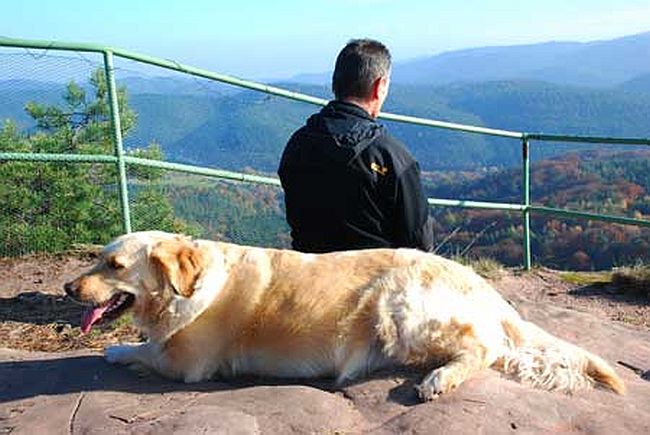 Buhlstein