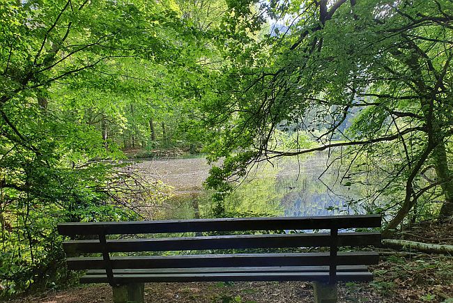Naturschutzgebiet Brauntalweiher