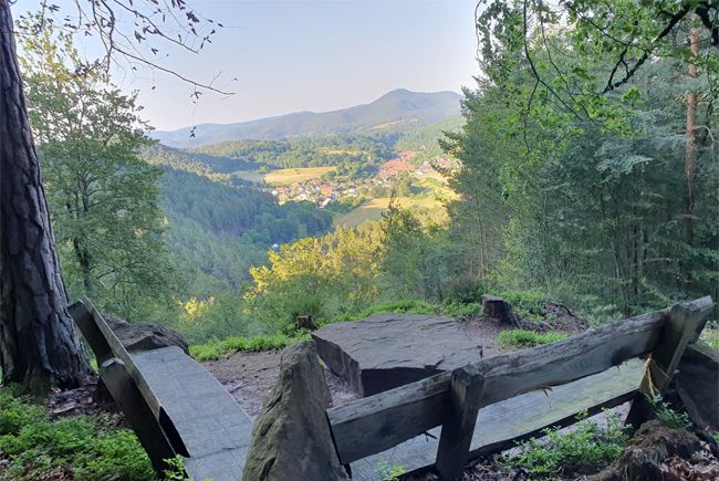 Panoramablick Rumbach / Pfalz