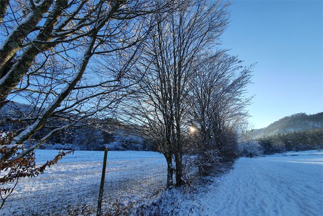 Schneewanderung in Rumbach