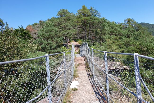 Hahnfels Tour ab Erfweiler