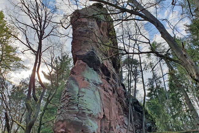Birkelsfelsen Rumbach / Pfalz'