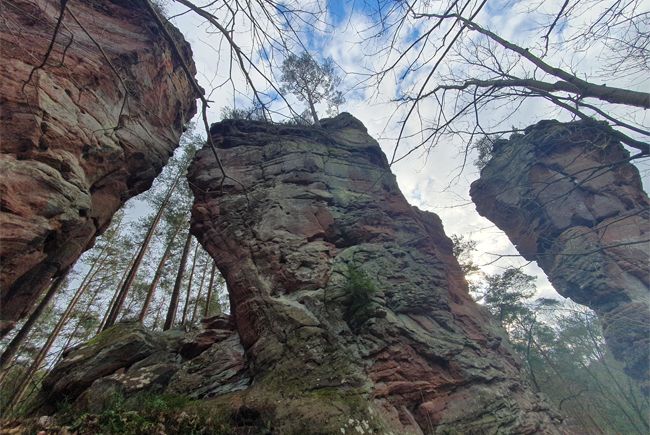 Adelsnadel Gemarkung Rumbach
