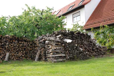 Holz - Foto: © K.Faul Energieträger Holz