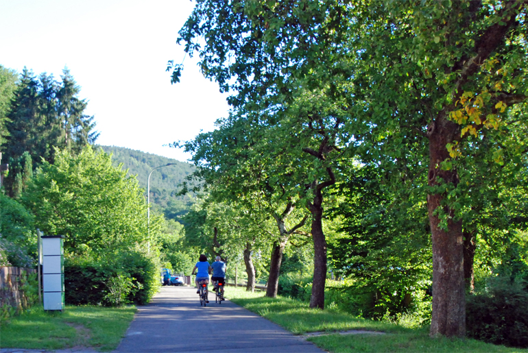 Fahrradweg + E-Bike Station in Rumbach / Pfalz