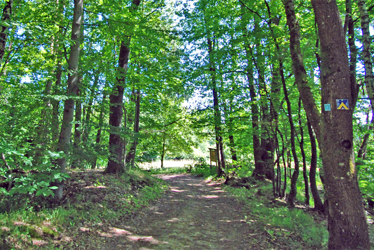 Premiumwanderweg 'Felsenland Sagenweg'