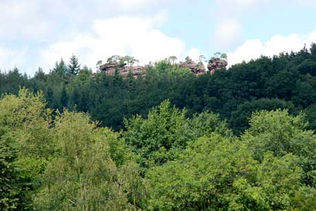 Wald Birkelsfelsen - Foto: © K.Faul Wald Rumbach